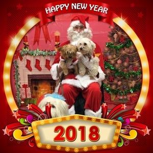 Meet your Posher, Donna